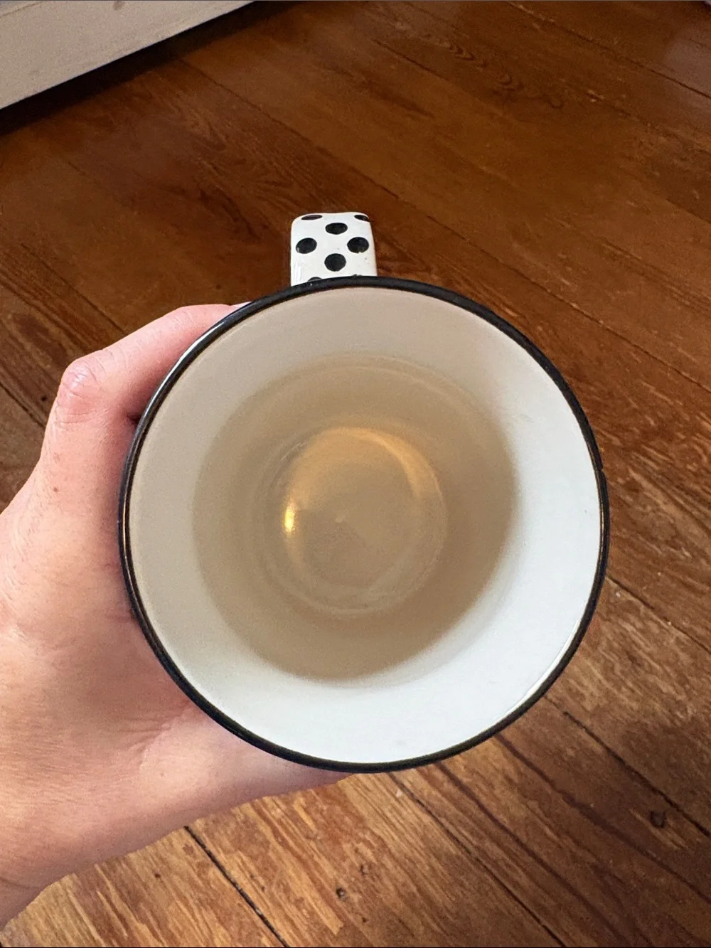 West Elm Potters Workshop Mug